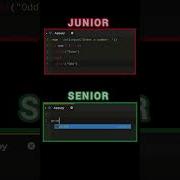 Junior Vs Senior Python Developer The REAL Difference