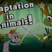 ANIMALS ADAPTATION How Adaptation In Animals Work The Dr Binocs Show Peekaboo Kidz