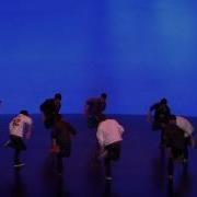 GenAPA 2015 Performance PAPhi Step