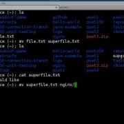 LaunchCode Working With Files Command Line