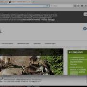 TEST IRC BOTNET LASTERS 1