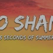 5 Seconds Of Summer No Shame Lyrics 5SOS