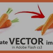 Creating Vector Image Adobe Flash Cs3 Line Tool Raster To Vector By Rahul Baidya