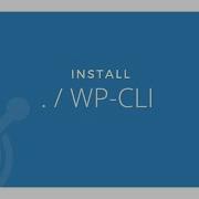 How To Install Wp Cli Very Easy
