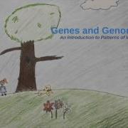 Genes And Genomes An Introduction To Patterns Of Inheritance