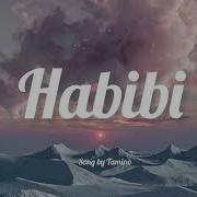 Habibi Remix Slowed Reverb One Hour