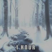 PULSE Extremly Slowed 1 HOUR