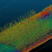 LiDAR Point Cloud Example Of Wheat