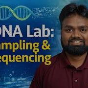 EDNA Lab Sampling Extraction PCR And Sequencing Overview