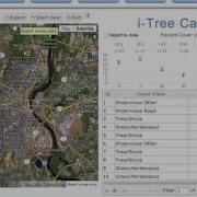 I Tree Canopy Reports