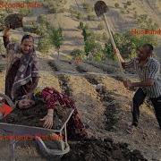 Fertilizing The Garden And Bushes And The Second Lady Attacking The Sick First Lady