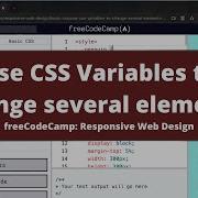 Use CSS Variables To Change Several Elements At Once Basic CSS FreeCodeCamp Tutorial