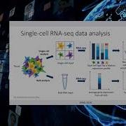 Simultaneous Deconvolution Of Bulk Sample And Maryna Chepeleva TransMed ISMB 2020 Posters