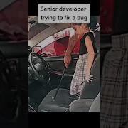 Senior Developer Trying To Fix A Bug Coding Bug Python Shorts Technology