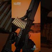 SKS Mutated