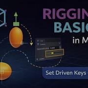 Rigging Basics In Maya Set Driven Keys SDK For Squash Stretch