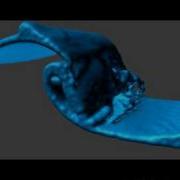 3D Breaking Wave Fluid Dynamics