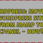 Wordpress Moving WordPress Site From MAMP To CPanel How 2 Solutions