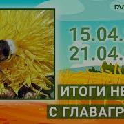 Итоги недели с ГлавАгроном 15 04 2024 21 04 2024