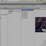ActionScript 3 0 Flash CS5 CS6 Classroom In A Book Lesson 5 Loading Content