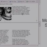 Using The DotImage Web Document Viewer