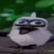 1 Hour Of The Screaming Bird