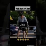Wait For Python S Turn Programming Languages Meme Coding Status Video Youtube Trending Memes