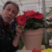 2016 Spring Trials Florist