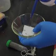 Nematode Isolation Baermann Funnel Technique Worcester Polytechnic Institute