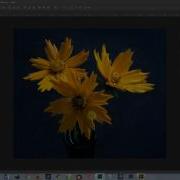 Downsampling Images In Photoshop