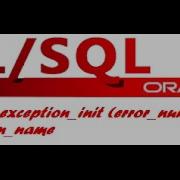 How To Handle Errors With PRAGMA EXCEPTION INIT In Oracle Plsql Developer