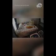 Parents Run To Grab Sleeping Babies During 5 1 Earthquake In Ventura County Shorts
