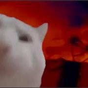 Cat Vibing To Ageispolis By Aphex Twin