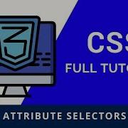 6 Селекторы атрибутов CSS Полное руководство по CSS