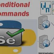 11 Selenium With Python Conditional Commands Part 1