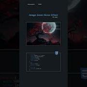 Image Zoom Hover Effect In Css Scale In Css Css Css3 Bootstrap Trending