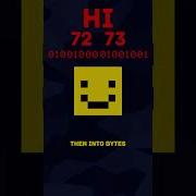 Least Significant Bit Steganography In Under 60 Seconds