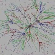 A Robust Tree Based Multi Channel Sensor Network MAC Protocol