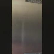 Physics Newtons 2nd Law Acceleration In An Elevator Experiment