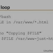 018 Wildcards In Shell Scripts