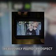 RealLowly Pluto Prospect