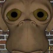 Monkey Test