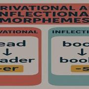 Derivational Vs Inflectional Morphemes