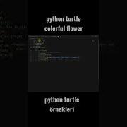 Python Turtle Colorful Flower çizim örneği Shorts Youtubeshorts Python Flowers Coding Tiktok