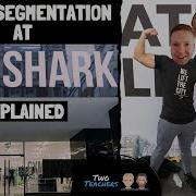 Сегментация рынка Как Gymshark использует сегментацию рынка