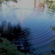 Ripples On A Pond