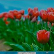 Установка Windows 8 Release Preview