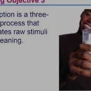 MKTG 3202 Consumer Behavior Perception 5