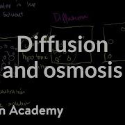 Diffusion And Osmosis Membranes And Transport Biology Khan Academy