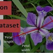 15 Iris Dataset Machine Learning Project Data Analysis In Python Matplotlib Pandas